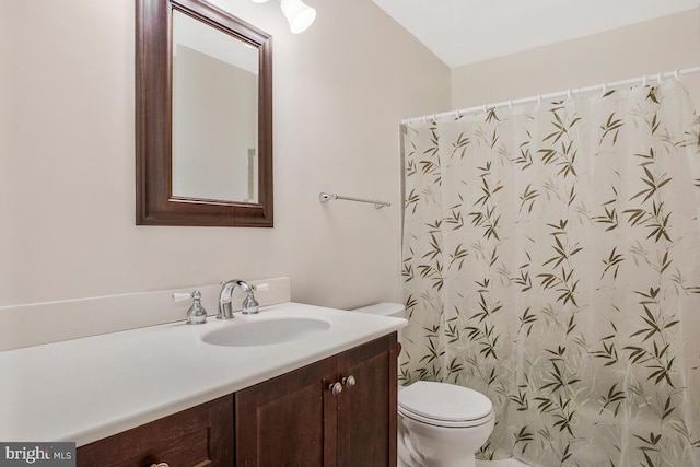 bathroom with vanity, walk in shower, and toilet