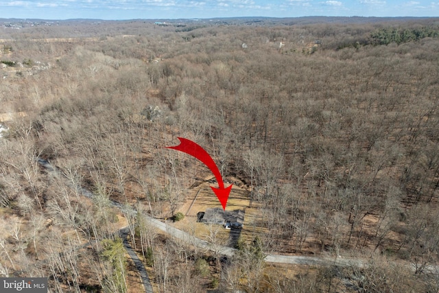 bird's eye view featuring a view of trees