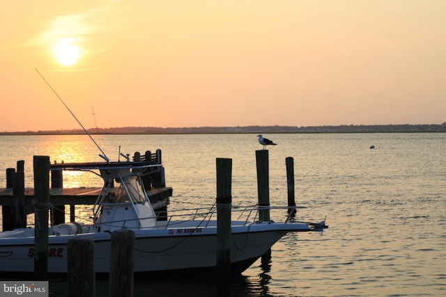 dock area with a water view