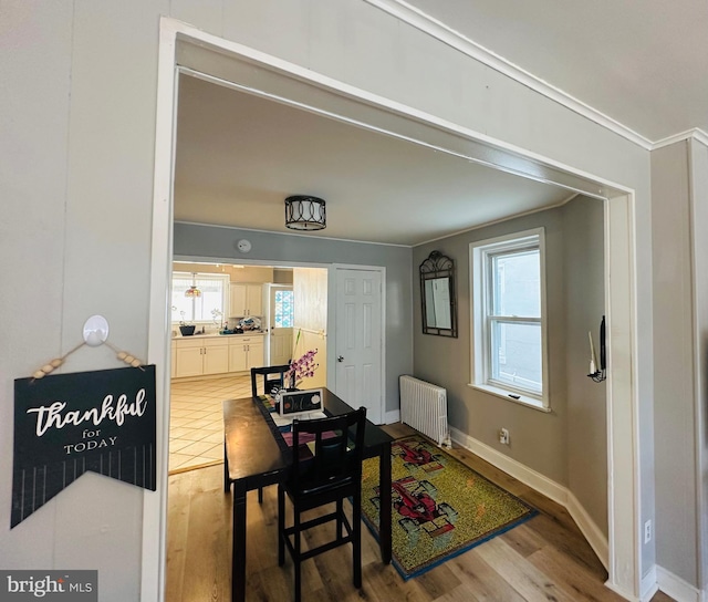 dining space with hardwood / wood-style flooring, radiator heating unit, and plenty of natural light