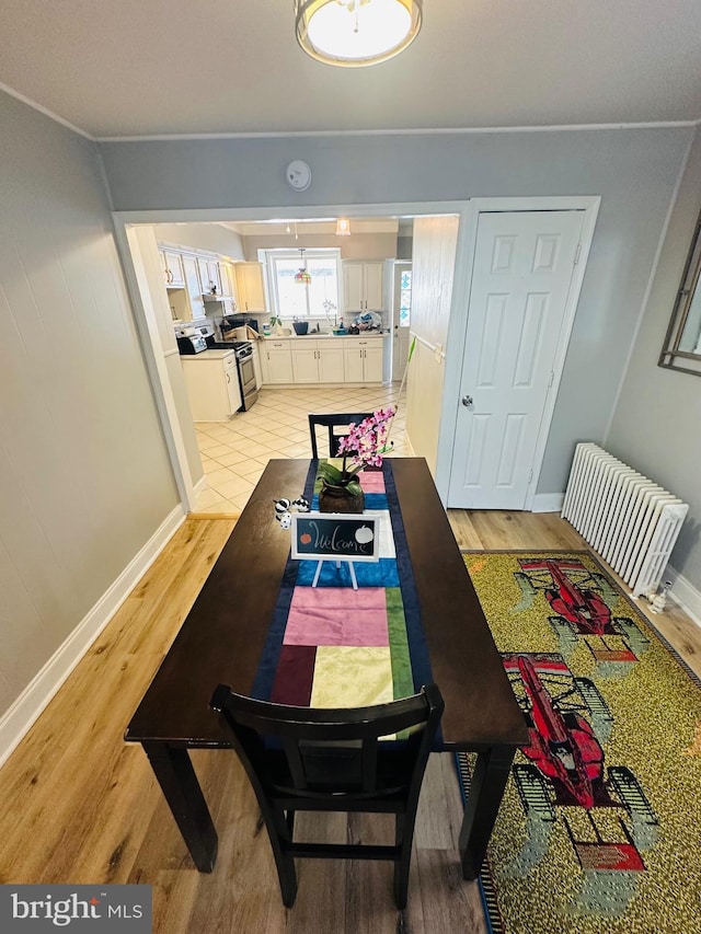 dining room with radiator heating unit and light hardwood / wood-style floors