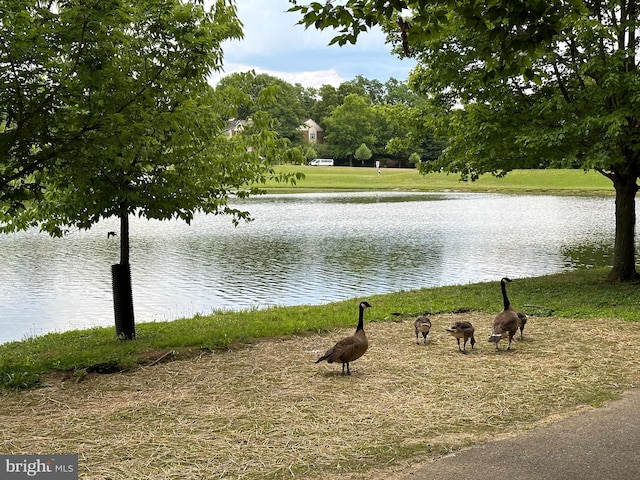 property view of water