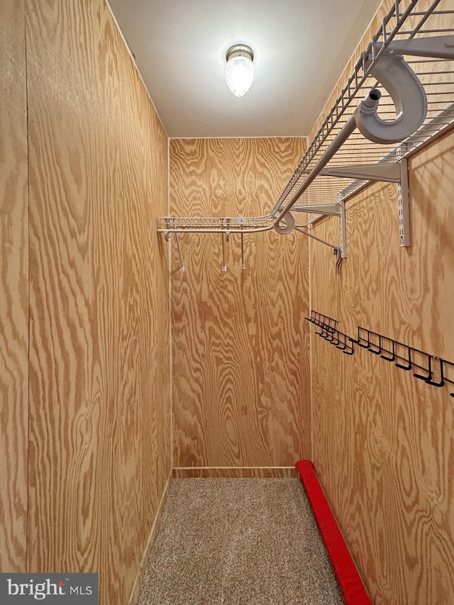 spacious closet featuring carpet