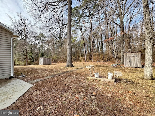 view of yard with a storage unit