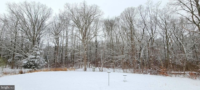 view of snow covered land featuring a view of trees