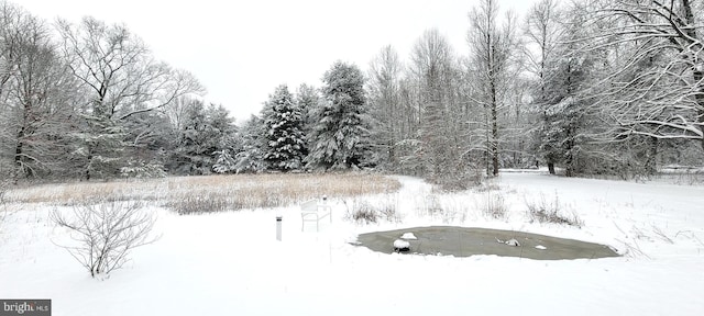 view of snowy yard