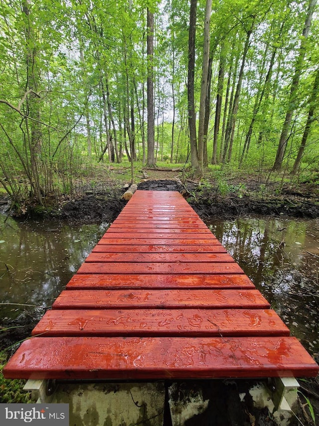 dock area with a water view