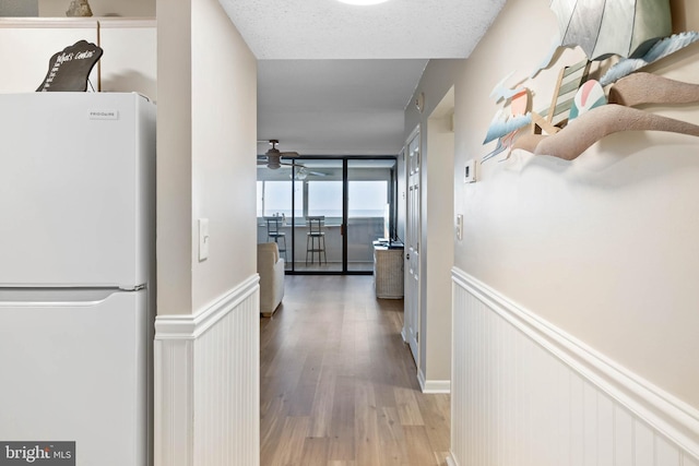 10300 Coastal Hwy Unit 104, Ocean City, MD 21842 - hallway with a wainscoted wall, a textured ceiling, and wood finished floors