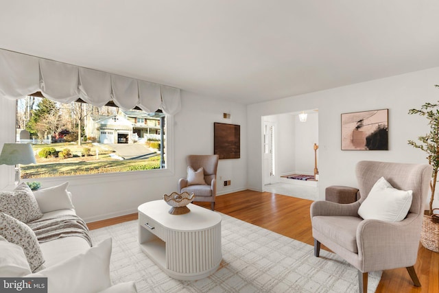 living room featuring light hardwood / wood-style floors