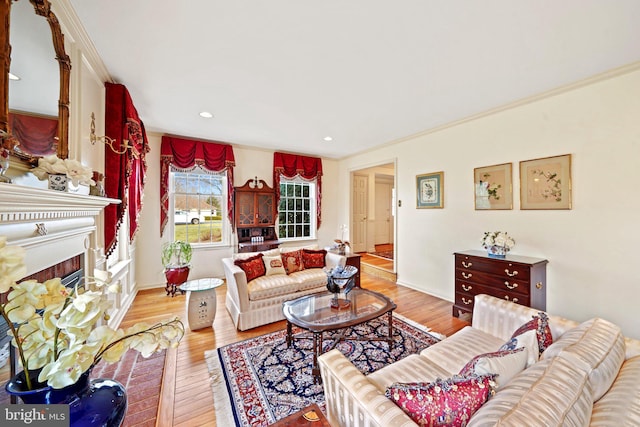 living room featuring crown molding and light hardwood / wood-style flooring