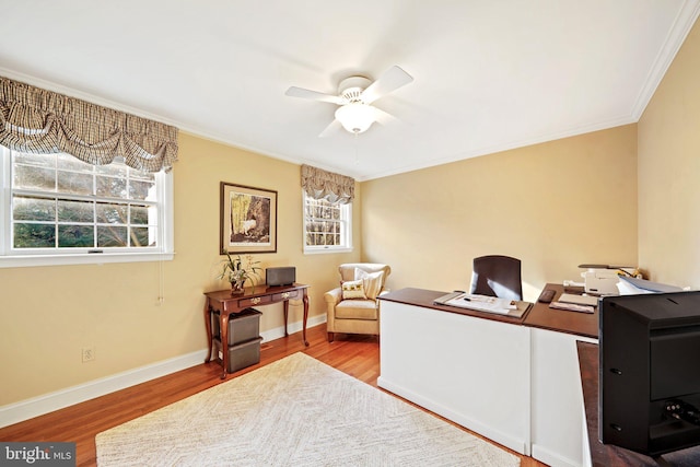 office area with hardwood / wood-style flooring, ceiling fan, and ornamental molding