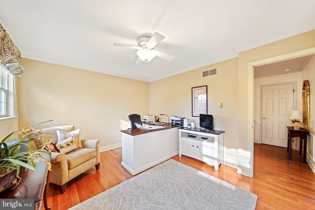 office area featuring ceiling fan, crown molding, and light hardwood / wood-style floors