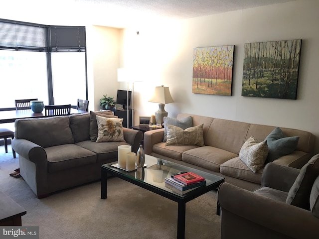 living room featuring carpet flooring