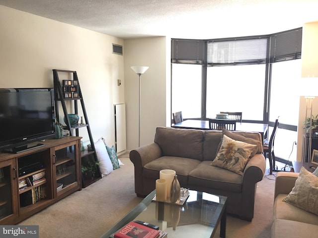 living room featuring light colored carpet and a textured ceiling