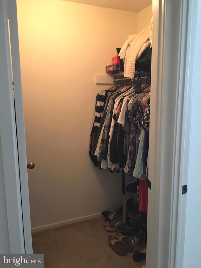 view of walk in closet