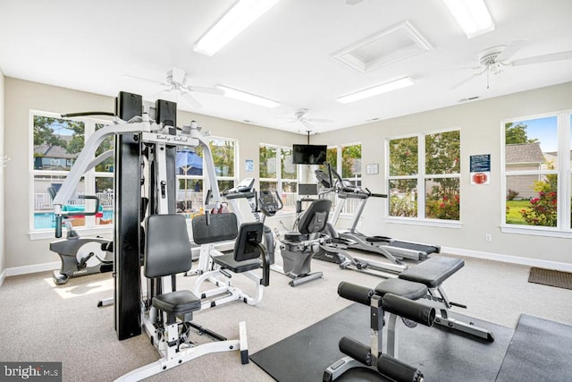 workout area with ceiling fan and carpet