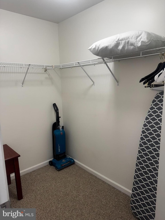 walk in closet with carpet