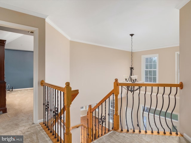 stairs featuring an inviting chandelier, baseboards, crown molding, and carpet