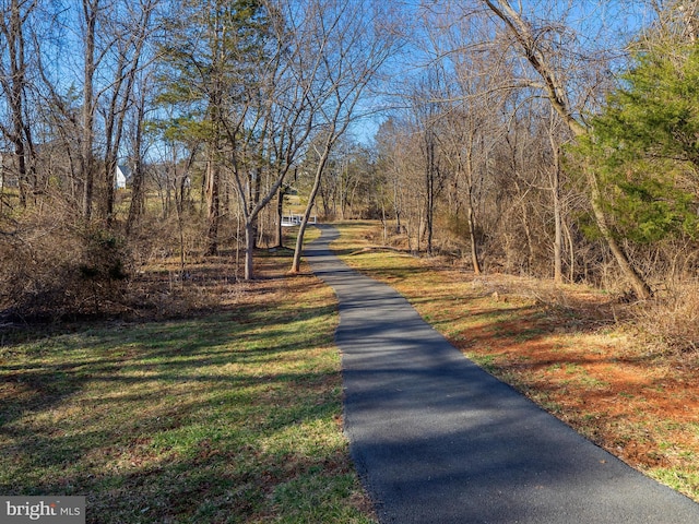 view of street featuring a wooded view