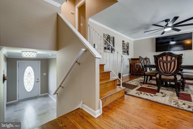 foyer featuring crown molding, ceiling fan, and wood-type flooring