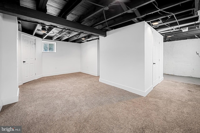 basement featuring carpet flooring