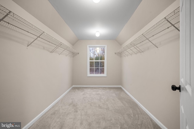 spacious closet with carpet floors and vaulted ceiling