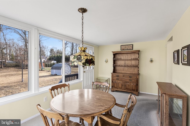 dining space featuring carpet