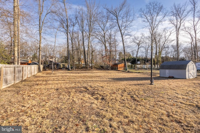 view of yard with a storage shed