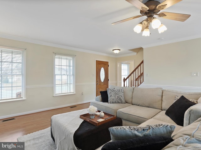 living room featuring ceiling fan, light hardwood / wood-style floors, and crown molding