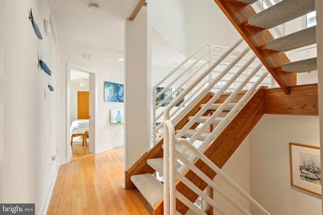 stairway with wood-type flooring