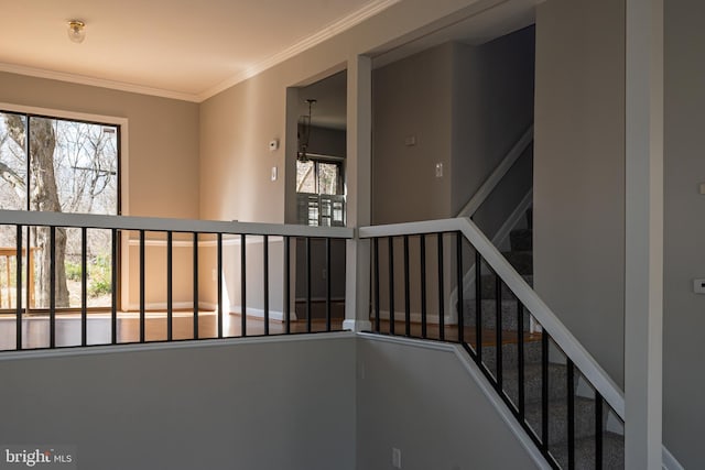 stairway featuring crown molding