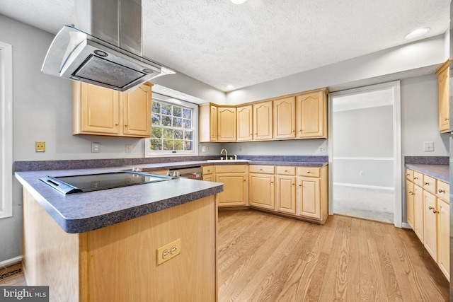 kitchen with light hardwood / wood-style flooring, black electric stovetop, island exhaust hood, stainless steel dishwasher, and light brown cabinets