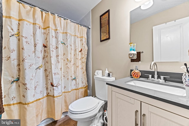 bathroom with vanity, toilet, and wood finished floors