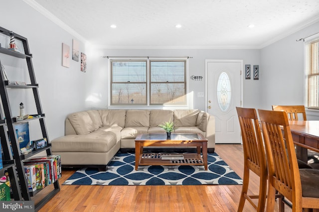 living room with ornamental molding, a textured ceiling, and light hardwood / wood-style flooring