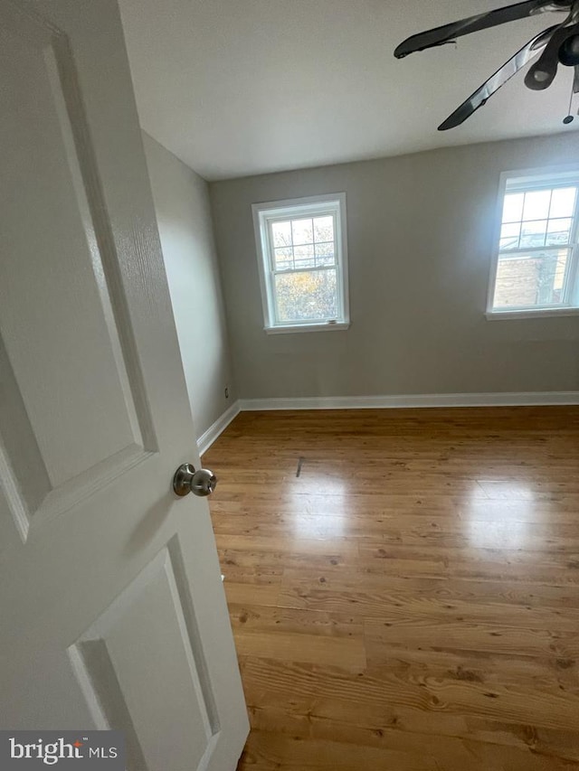 empty room with a healthy amount of sunlight, ceiling fan, and light hardwood / wood-style flooring