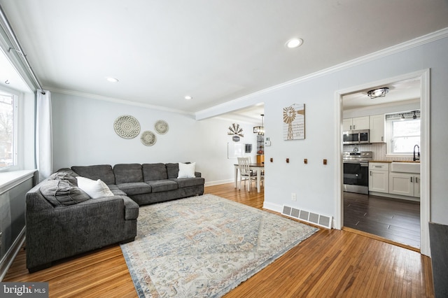 living room with crown molding, sink, and hardwood / wood-style floors