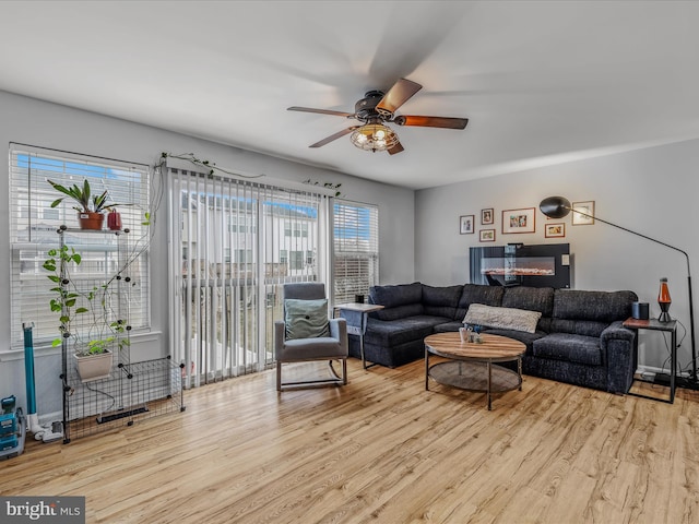 living area with ceiling fan and light wood-style flooring