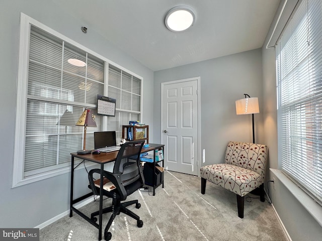 office featuring light colored carpet