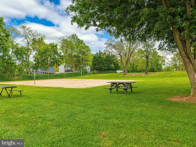 view of community with a yard and volleyball court