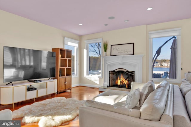 living room with a water view and hardwood / wood-style flooring