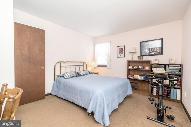 bedroom featuring carpet