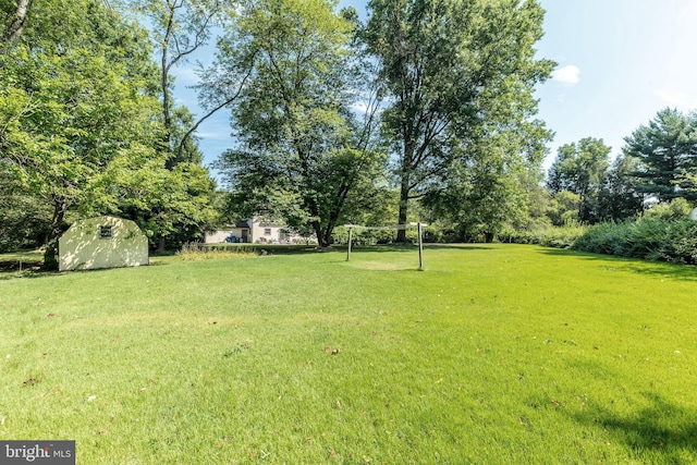 view of yard with a shed