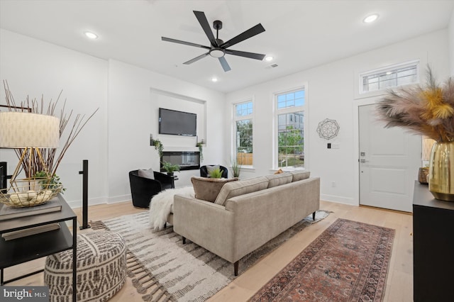 living room with ceiling fan and light wood-type flooring