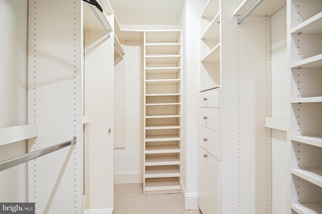 walk in closet featuring light carpet