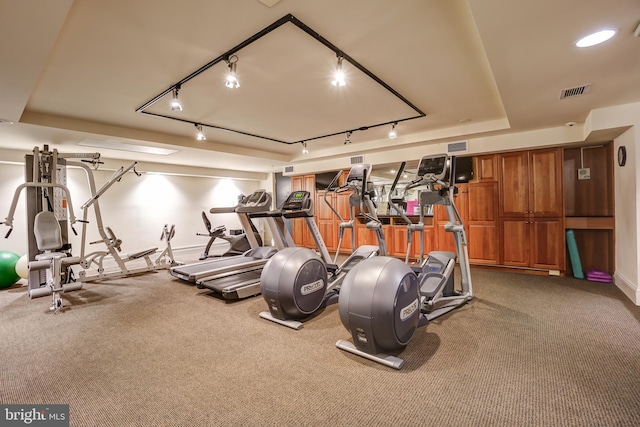 gym with a raised ceiling and carpet