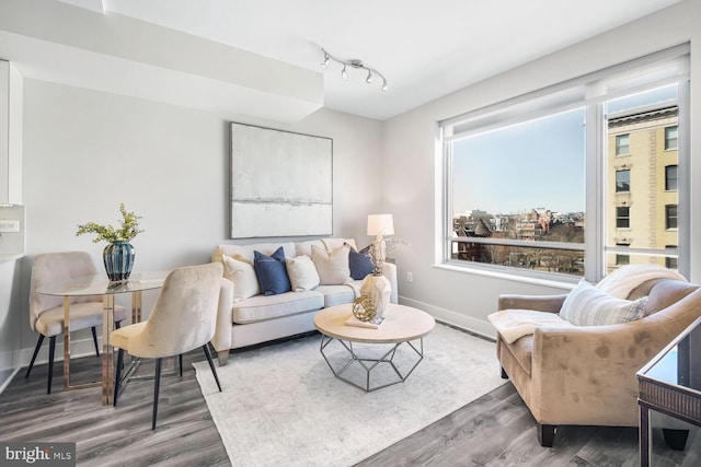 living area featuring rail lighting, wood finished floors, and baseboards