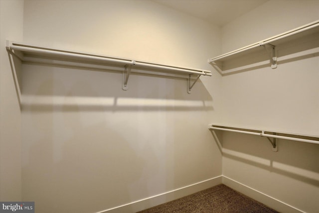 spacious closet with dark carpet