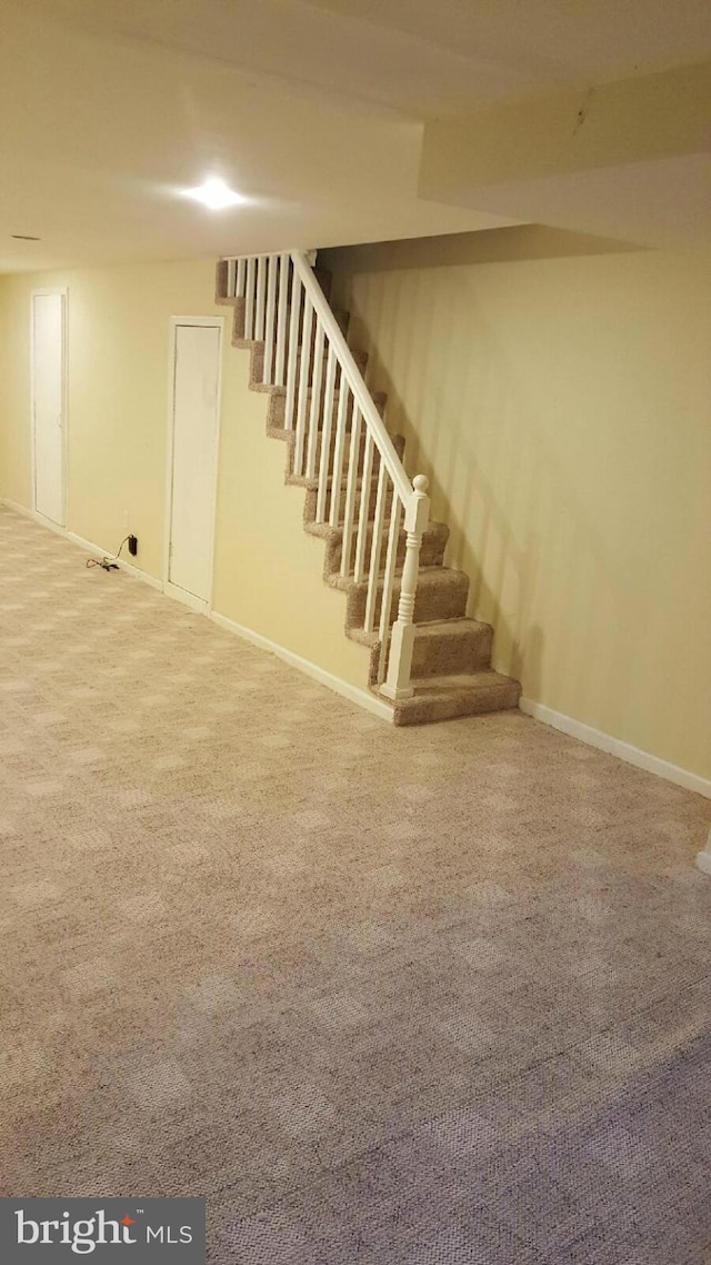 basement featuring carpet floors