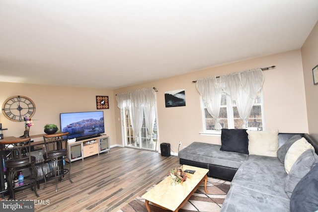 living room featuring wood-type flooring