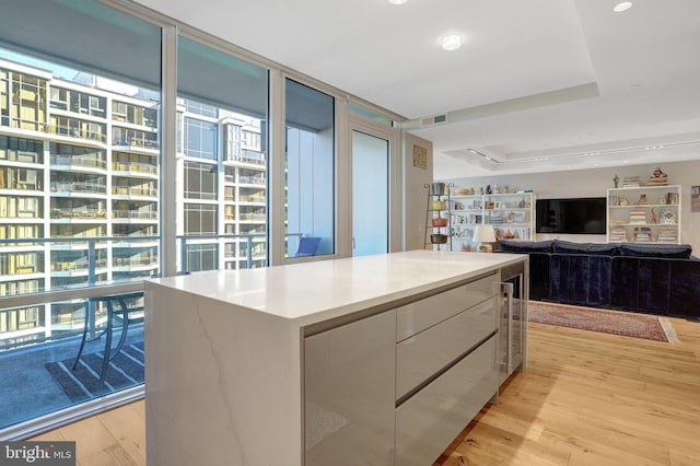 interior space featuring visible vents, white cabinets, light countertops, light wood-type flooring, and modern cabinets